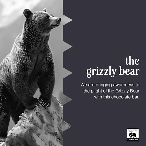 Endangered Species Chocolate Bar Grizzly Dark Raspberry, 3 oz | Crafted with premium ingredients for a rich dark chocolate bar with refreshing raspberry flavor. - image 5