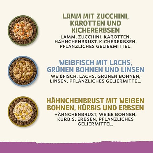 Applaws Premium Natural Nassfutter für Hunde, getreidefreie Auswahl an Huhn und Fisch in Sauce, Futter-Topping für Hunde 6 x 85g Packung