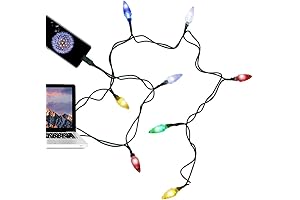 1 Pack, 50-Inch LED Christmas Lights Type-C Cable with 10 LEDs