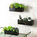LáLáGreen Wall Planter (12/14/16 Inch) Black, White and Silver Metal Wall Mounted Flower Pots, Window Sill Planter Box Fence Railings Garden Minimalist Floating Shelve Indoor Outdoor