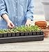 Burpee Self-Watering Seed Starter Tray, 72 Cells