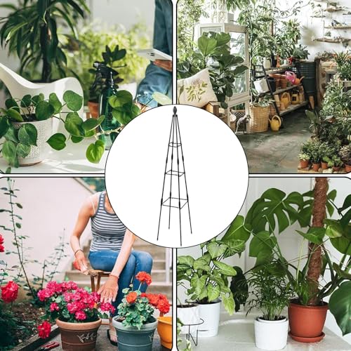 Treillis pour grimpantes sur balcon idéal pour aménager un potager urbain - 5