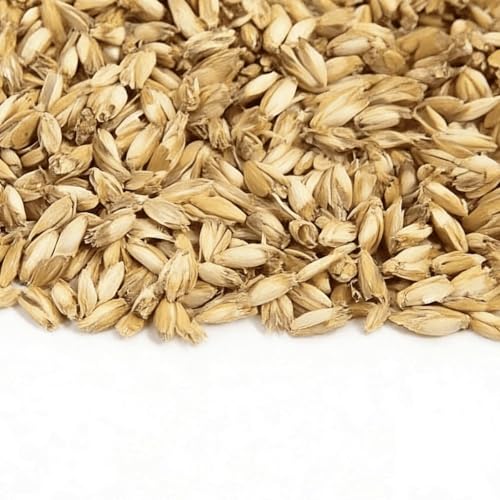 Épeautre bio en vrac 5 kg pour le rembourrage de coussins