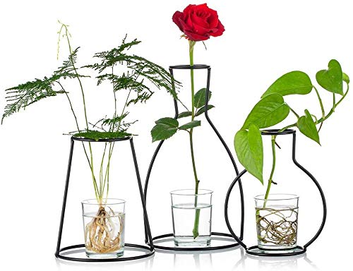 テラリウム 吊り下げの人気商品 通販 価格比較 価格 Com