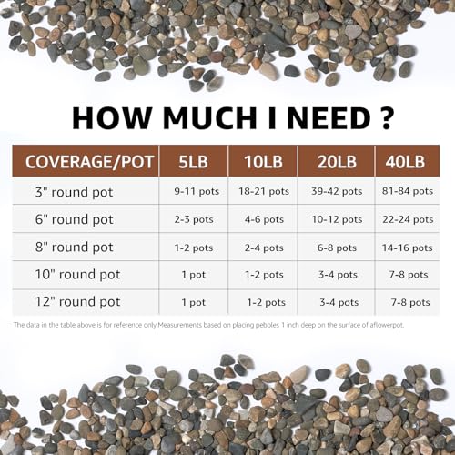 Image of 20LB Natural River Rocks, 1 /4 inch Aquarium Gravel, Small Pebbles for Plants, Pea Gravel for Fish Tanks, Decorative Rocks for Gardening, Flower Pots, Vase Fillers, Indoor Fountains (20 LBS)