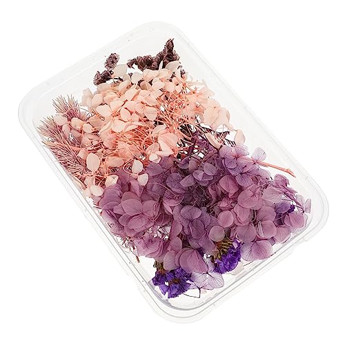 Kit de flores secas para manualidades Cabilock miniatura 1