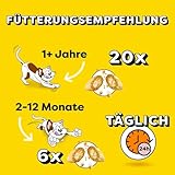 Dreamies Klassiker Katzensnacks mit Käse – Katzenleckerli mit knuspriger Textur und cremiger Füllung – 4 x 180g
