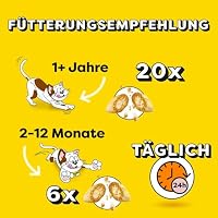DREAMIES Katzensnacks - 2x350g - mit Käse - Traumhaft knusprige Katzen Leckerlies mit zarter Füllung - Mega Box – Ansicht 4