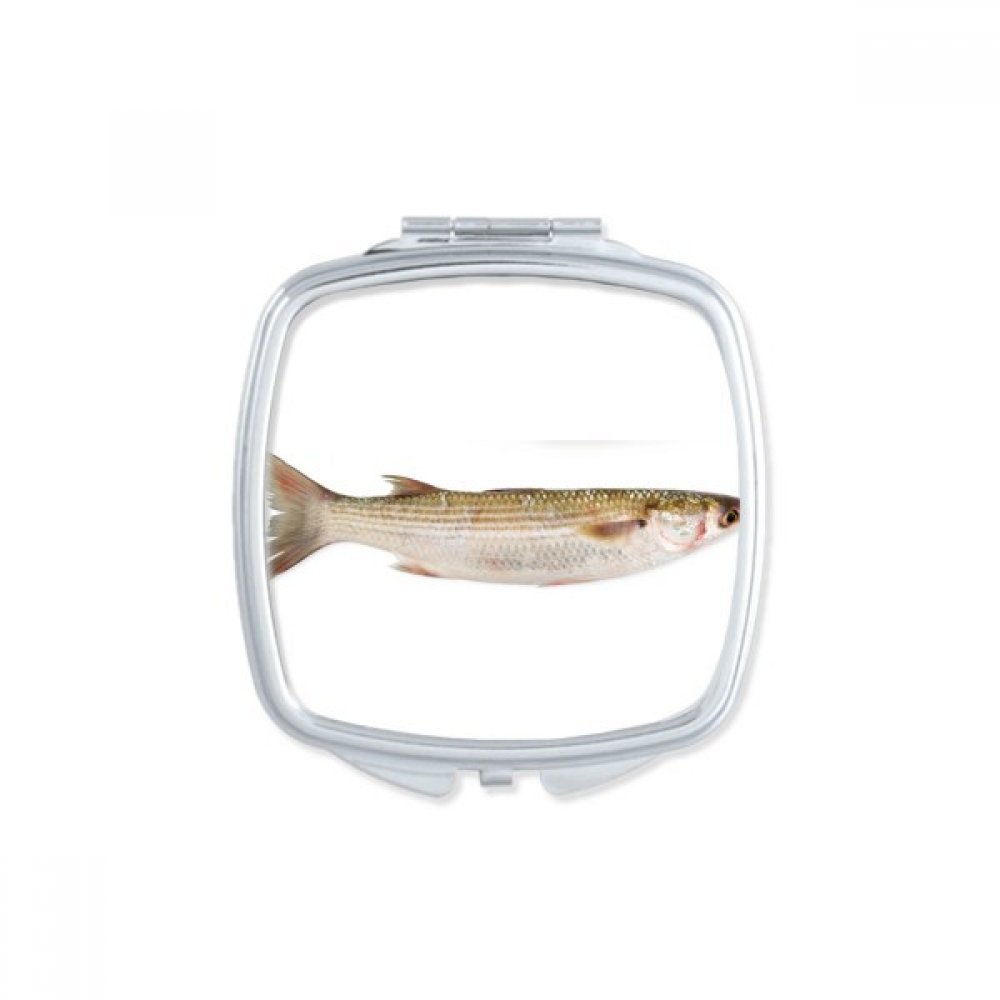 Miroir compact ocean fish mignon : le petit cadeau idéal pour femme et fille
