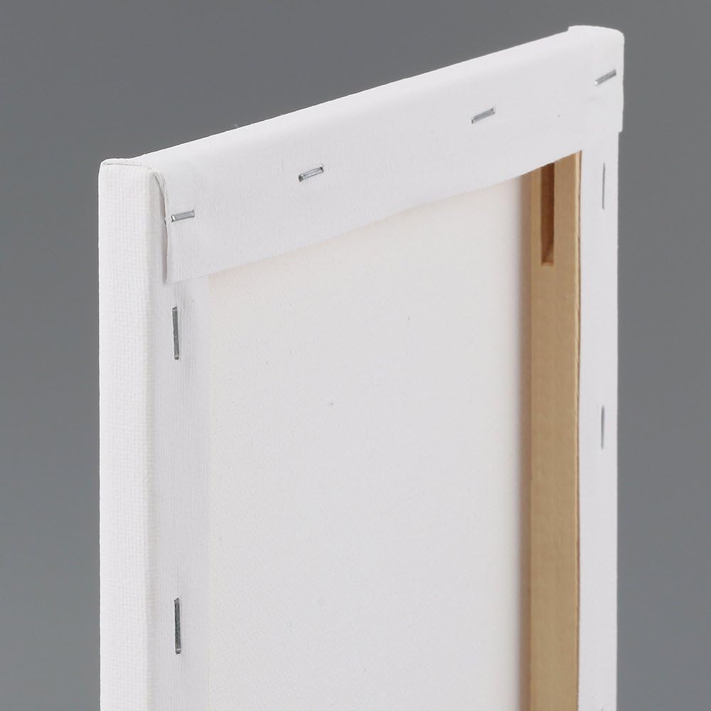 Amazon.co.jp: ホルベイン 〈アクリル・油彩用〉 A4キャンバス