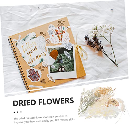 Kit de flores secas prensadas para manualidades miniatura 7