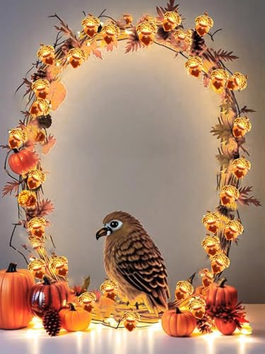 Image of EXF Fall Decor Acorn Fairy Lights Battery Operated with Remote 10FT 30 LED