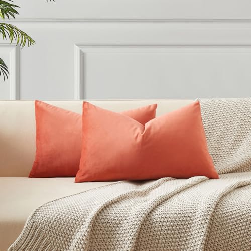 Image of JUSPURBET Velvet Pillow Covers 16x24 Inch Set of 2 Decorative Lumbar Throw Pillow Covers for Couch Sofa Bed Soft Thick Velvet Cushion Cases with Hidden Zipper for Home Decor,Apricot
