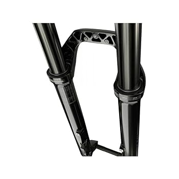 RockShox, 35 Gold RL A2, Suspension Fork, 29'', Debonair