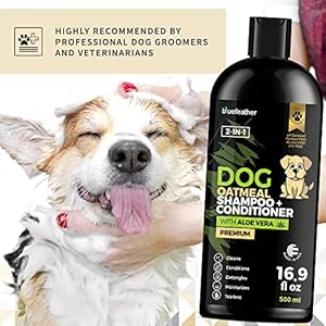Oatmeal 2 in 1 Dog Shampoo and Conditioner for Dry Itchy Sensitive Skin – Moisturizing Hypoallergenic Shampoo – Oatmeal Wash with Aloe for Any Pet Dog Puppy or Cat 16.9 Fl Oz (Pack of 1)