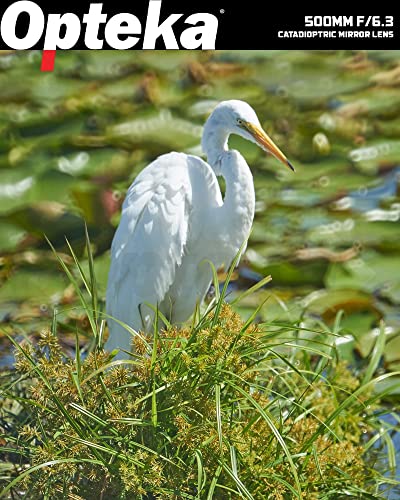 Opteka 500Mm F/6.3 (With 2X- 1000Mm) Telephoto Mirror Lens For Nikon F-Mount D6, D5, D4, D850, D810, D800, D780, D750, D610, D600, D7500, D7200, D5600, D5500, D5300, D3500 And D3400 Dslr Cameras #TOP3