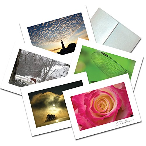 Elegant Small Note Cards. Easter, Mothers Day. 3.5x5 Set of 10 Cards Matching Envelopes. Unique Birthday Cards. Great Thank You Notes & Invitations. Best Quality Christmas & Valentine's Day Gifts