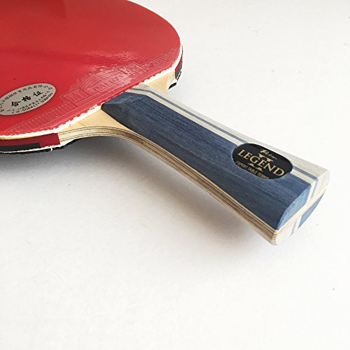 Palio Legend 2.0 Racchetta da ping pong, con