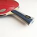 Palio Legend 2.0 Table Tennis Racket & Case | ITTF-Approved Advanced Ping Pong Paddle | Maximum Power, Speed & Spin