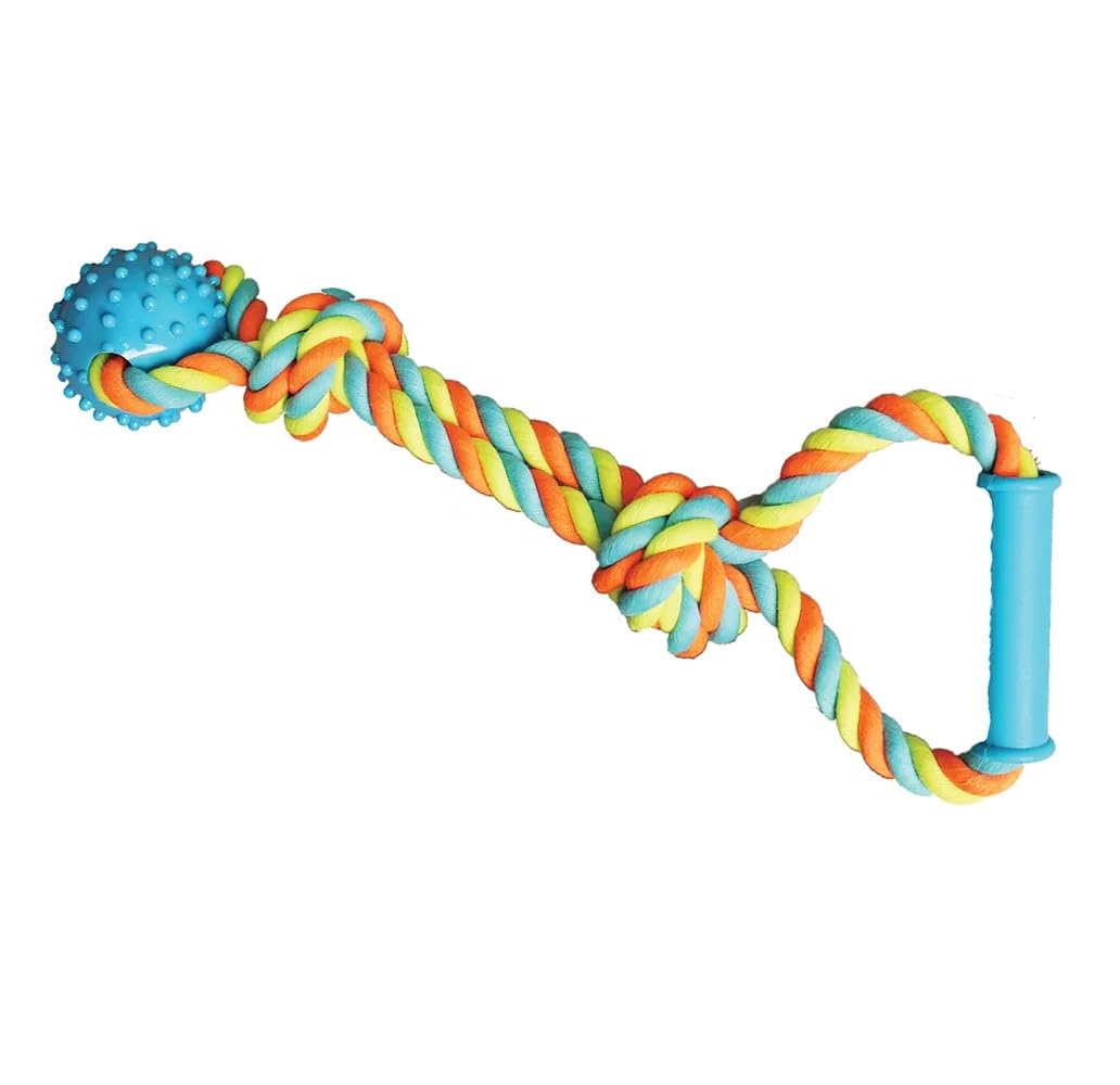 Rope and Rubber 15 Inch Dog Toy Dental Hygene Nubs Plastic Handle Toss Fetch Tug (Blue)