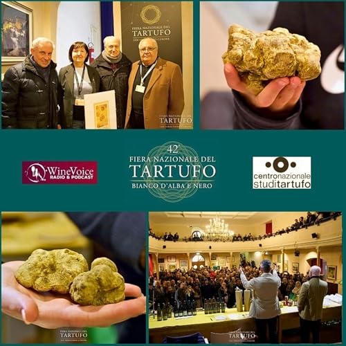 Le Terre del Vino: 42&deg; Fiera Tartufo S.Sebastiano Curone (AL) - Novit&agrave; sulle politiche territoriali e i consigli dal Centro Nazionale Studi Tartufo