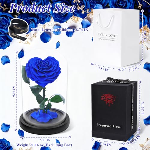 Rosa preservada real en cúpula de vidrio con forma de corazón miniatura 2
