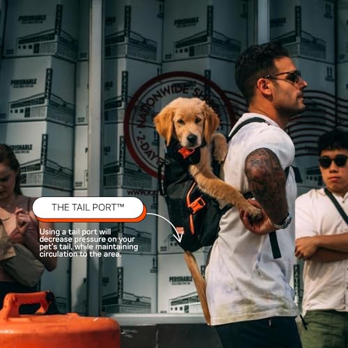 The Maxine One Medium Hunde-Tragerucksack von Little Chonk, für mittelgroße Rassen, verstellbare Haustier-Tragetasche, nach vorne zeigend, für Reisen, Wandern, Schwarz (Bark After Dark)