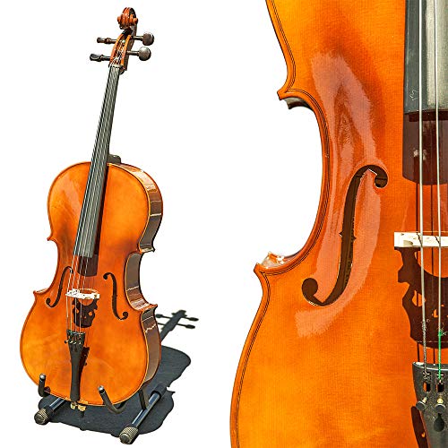 Paititi CE4009SE AVANT-GARDE Ebony Fitted Glossy Finish Solid Wood Cello with Soft Case, Brazilwood...