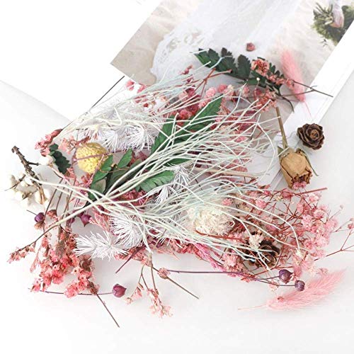 4 cajas flores secas mezcla real para manualidades miniatura 3