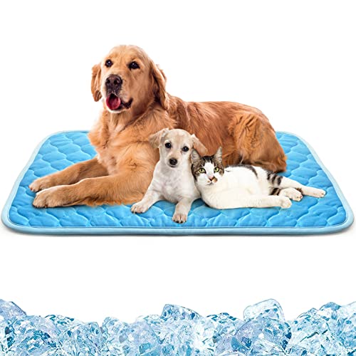 Chill Out with the Coolest Pet Pads of 2021 Top 10 Picks and Buying
