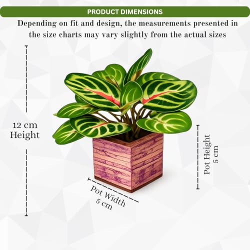 Image of DecoreBugs Artificial Real Touch Flower Plant with Pot (Pack of 2), 16 cm Height, Decorative Faux Floral Plant for Home, Office, Living Room, Bedroom, Table & Shelf Decor