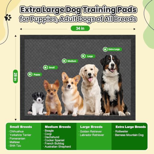 Image of Charcoal XL Dog Pee Pads 34 inchx28 inch 100 Count Puppy Training Pads