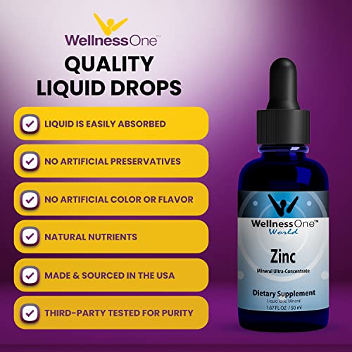 Wellnessone Ionic Zinc Liquid - Immune Support, Skin Care Zinc Supplements For Kids & Adult 100 Day Supply - 15 Mg Zinc Sulfate - Easy To Swallow Liquid Zinc Drops - 50 Ml 1.6 Fl Oz (2 Pack) #TOP4