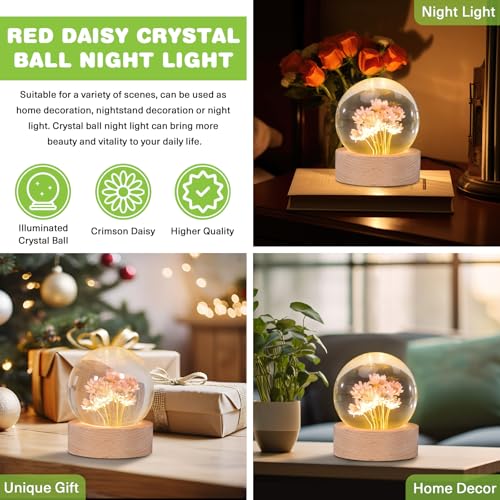Image of Daisy Lamp,2.4-Inch Flower Crystal Ball Night Light, Real Daisies Inside with Wood Base, Warm Bedroom Glow (Daisy)