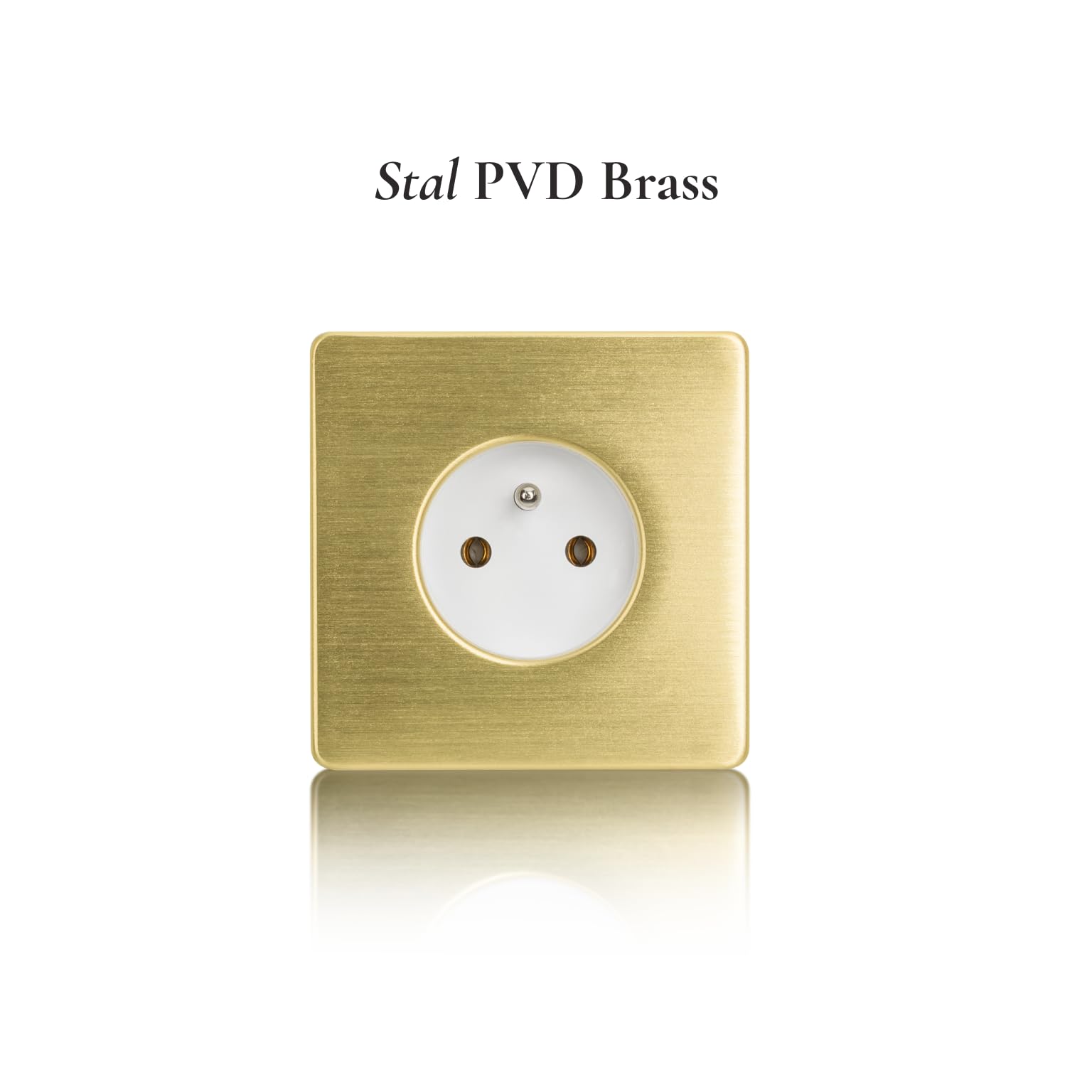 Acier brossé blanc simple en laiton PVD de prise électrique