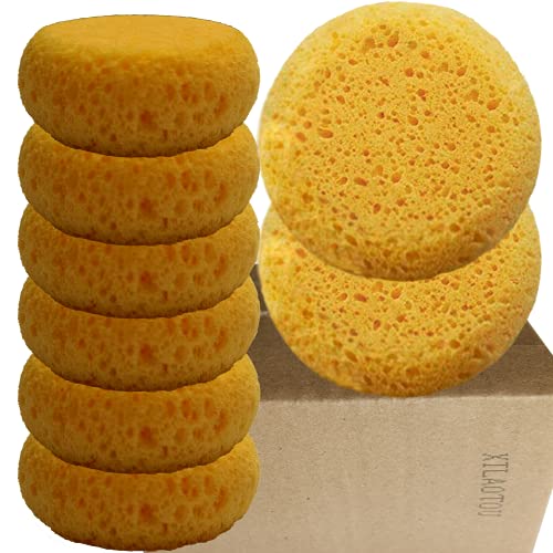 Xilaotou A Box Of 12 Tack Sponges (Coarse Holes) #TOP6