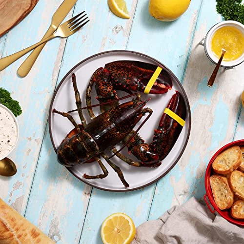 Maine Lobster Now 2lb Live 2 Pack