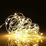 Ehome Fairy Lights USB Powered Fairy Lights Plug in 66ft 200 Led String Lights Decorative Lights for