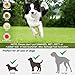 SOCO Automatic Ball Launcher for Dogs Large- 3 Distance Settings (40/60/80FT) w/Remote Control | 2.5