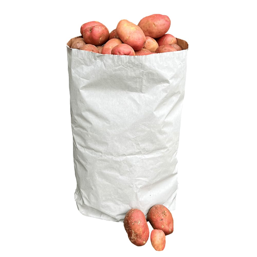 Recyclable Paper Potato Sack Holds Up To 15KG Packs Of 1, 3, 5,10, 20, 50, 100 (10, White)