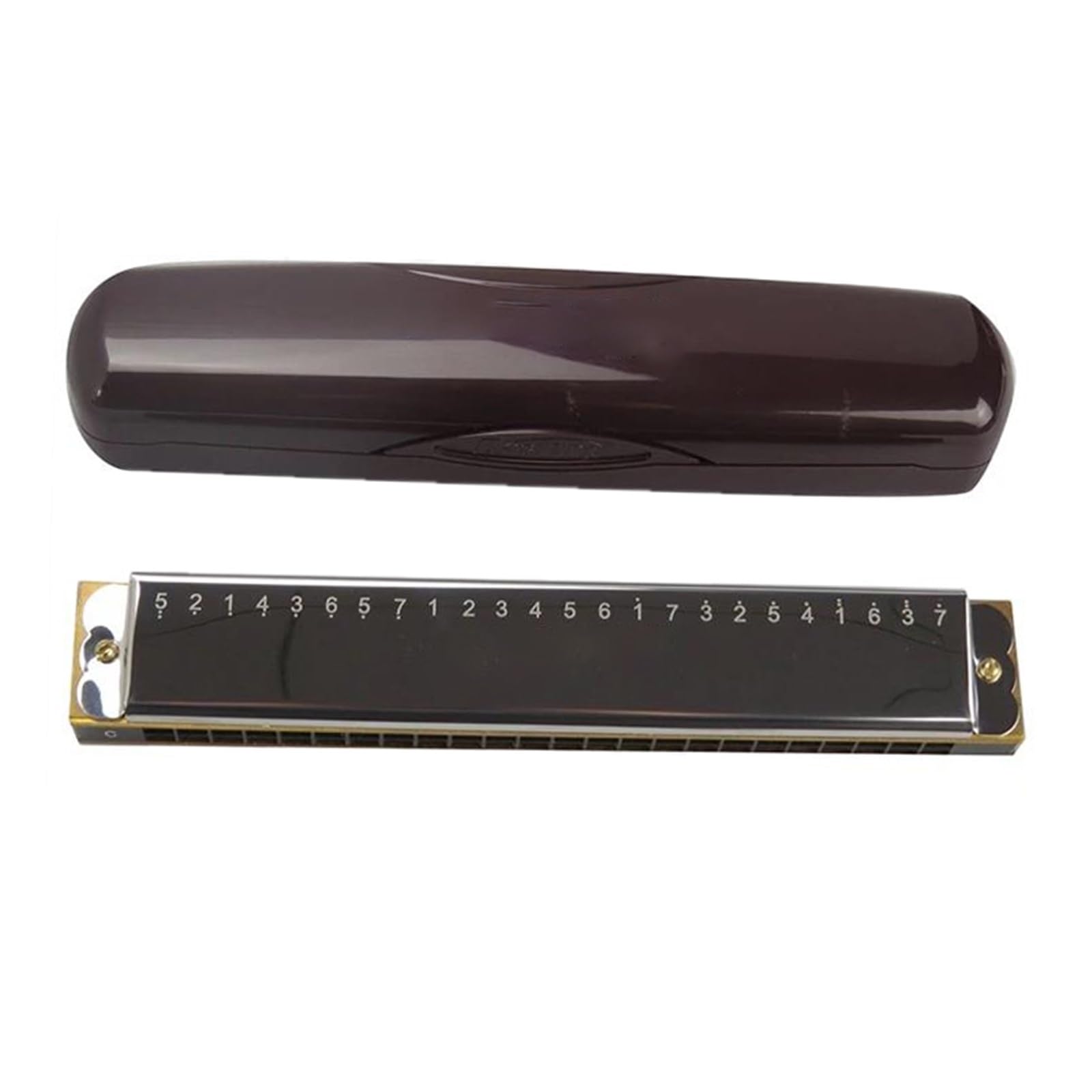 Armonica Armonica A Bocca Professionale A 24 Fori Con Tremolo Armonica A Bocca A 24 Fori Chiave In Do Con Custodia(C)