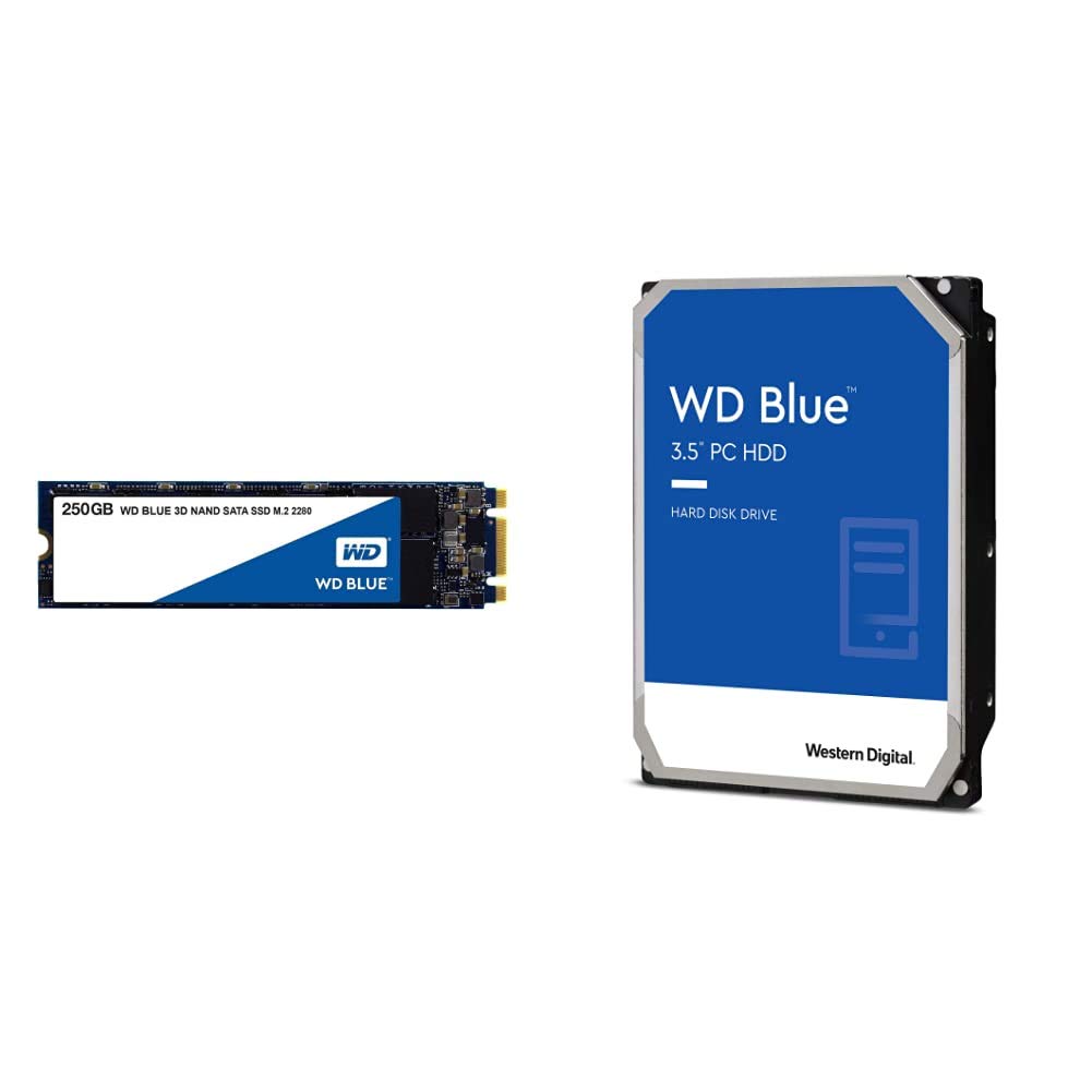 Western Digital 250GB WD Blue 3D NAND Internal PC SSD - SATA III 6 Gb/s, M.2 2280 & Western Digital 