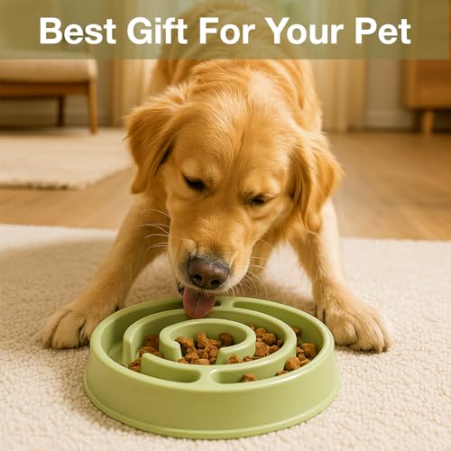 Image of Slow Feeder Bowl | Round Maze Food Bowl for Dogs and Cats | Anti Choking Puzzle Bowl | Anti Slip Interactive Feeding Dish | Durable & Easy to Clean | Anti Bloat and Aids Digestion (Green)