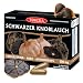Produktbild TEREZIA Schwarzer Knoblauch 100% Natürlich ohne chemische Zusatzstoffe | Immununterstützung | hochdosiert 500mg | 60 Kapseln | geruchlos