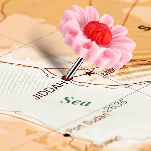 image for Dorbetar 40Pcs Push Pins, Thumb Tacks for Bulletin Board, Flower Decor