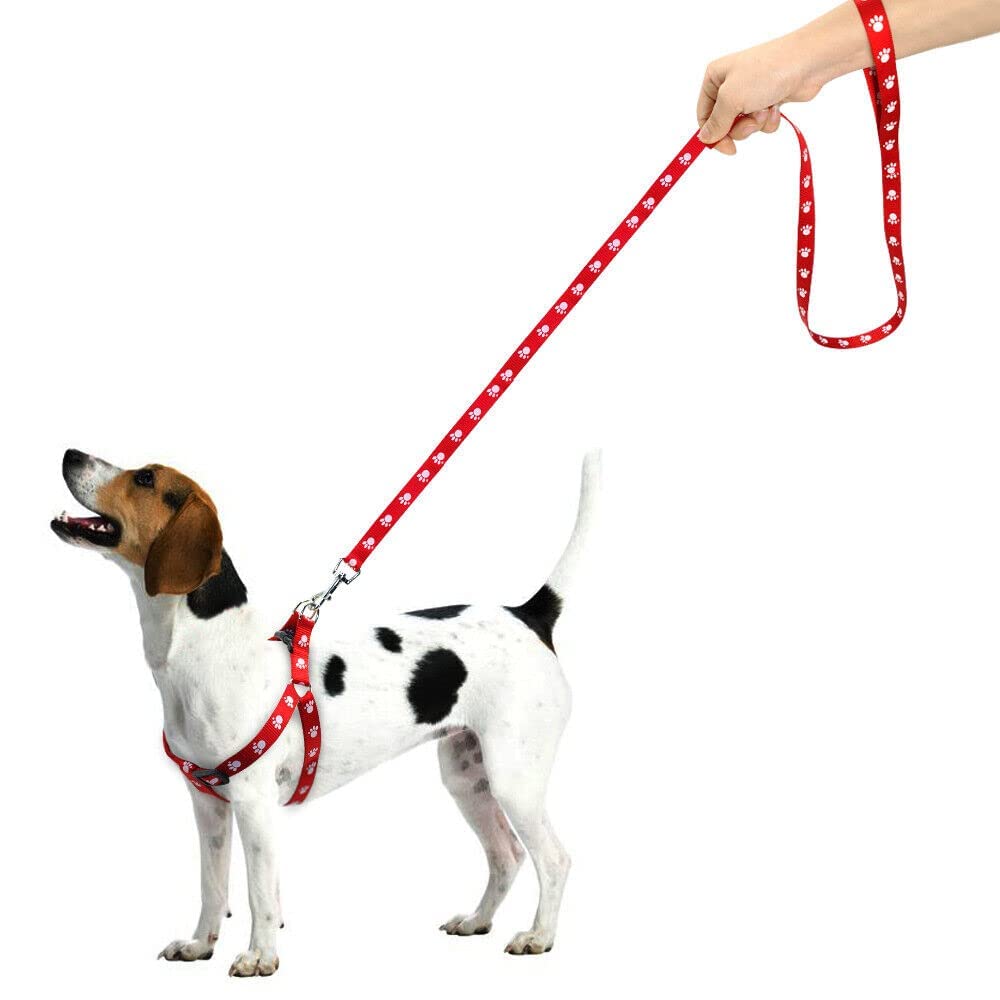 RvPaws Nylon Adjustable | Foot Print Durable | No Pull Pet Back Clip Body Harness and Leash for Puppies Harness for Small & Medium Dogs Colour May Vary (0.5 INCH) (Red) (B0BRJP6S5K) Amazon Price History, Amazon Price Tracker