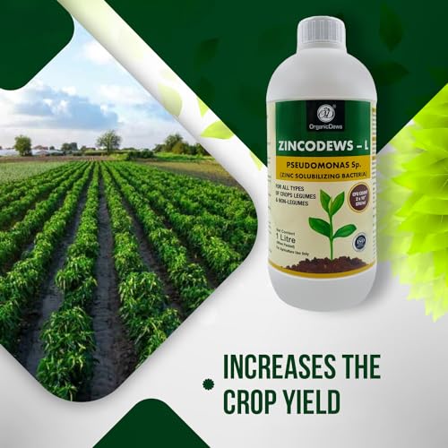 Image of OrganicDews Zinc Solublizing Bacteria (2x10^8 CFU /ML) Bio Inoculum Fertilizer (1 litre) for Plants - Soil Fertility, Faster Plant Growth and Increases the Yield