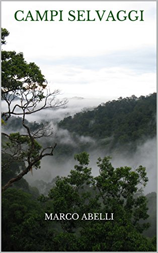 Campi selvaggi eBook Abelli, Marco Amazon.it Libri