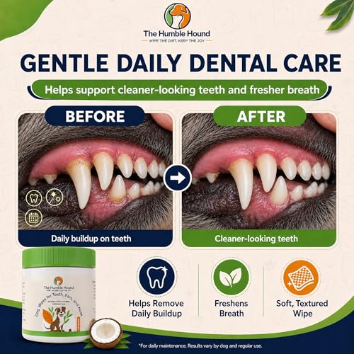 Image of 3-in-1 Dog Dental Wipes - Finger Wipes for Teeth, Ears & Snout Infused with Coconut Oil | Promotes Fresh Breath, Tartar Control & Daily Hygiene | Gentle Grooming Wipes for All Dogs - 50 Count
