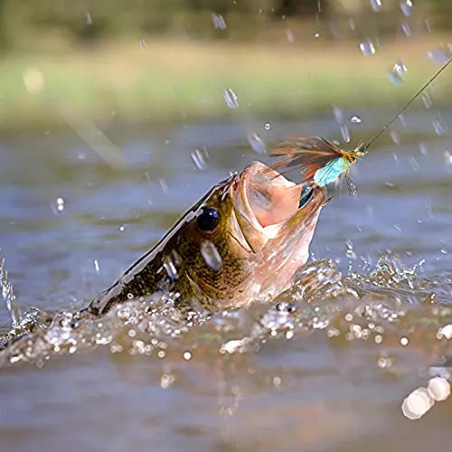 image for Lilureena 12 PCS Fly Fishing Flies Kit Fly Lure Butterfly for Trout Ba